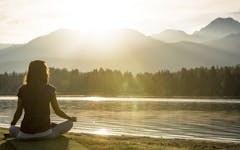 Endocannabinoid System Week