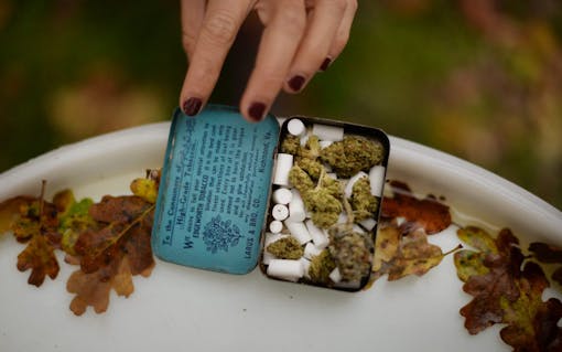 An attendee from Chico, California with their homegrown cannabis in a tin at The Emerald Cup held at the Sonoma County Fairgrounds in Santa Rosa, California. (Erik Castro for Leafly)