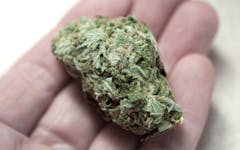 Toronto Leaf Dispensary Toronto Leafly List