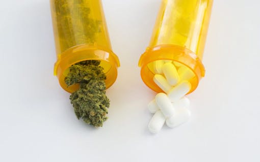 How Cannabis Can Contribute to Pain and Inflammation Recovery