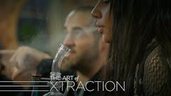 The Art of Cannabis Extraction