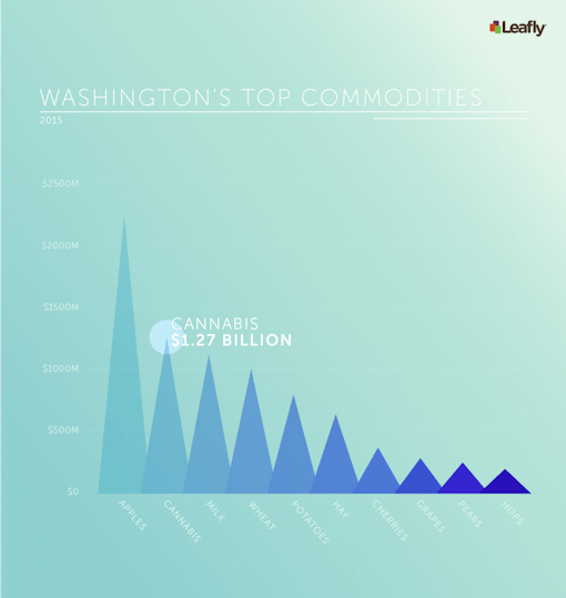 Cannabis is now Washington state's second most valuable crop.