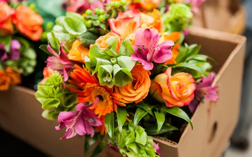 flower bouquet with rose