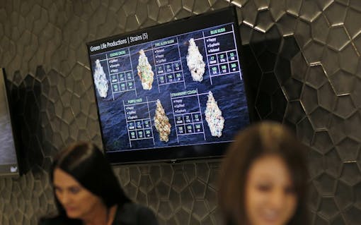 budtenders can help you find your best marijuana high