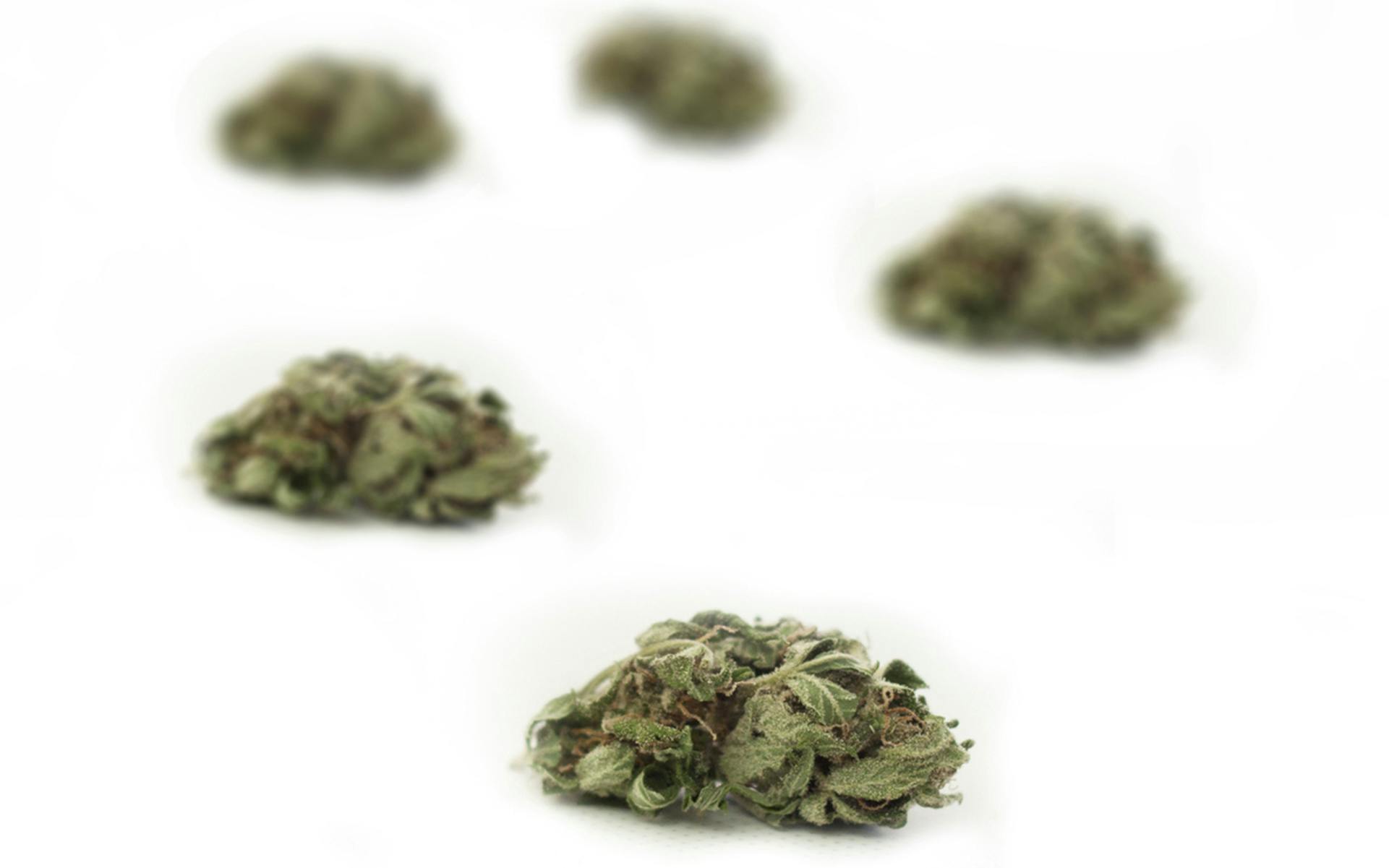 What Are Popcorn Cannabis Buds? Leafly