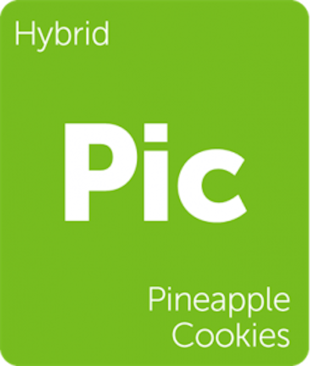 New Strain Alert Peyote Cookies, Chocolate Drop, Pineapple Cookies, and More Leafly