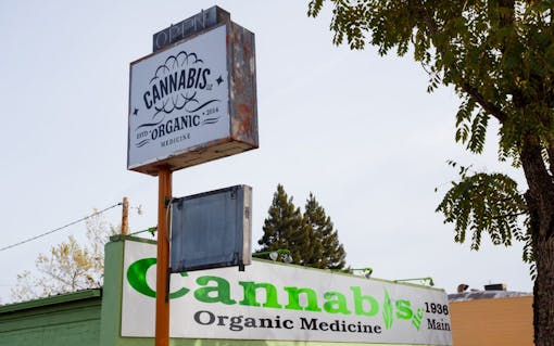 Cannabis Organic Medicine Springfield Oregon