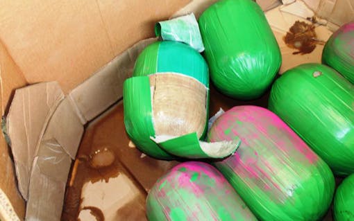 watermelon-smuggling