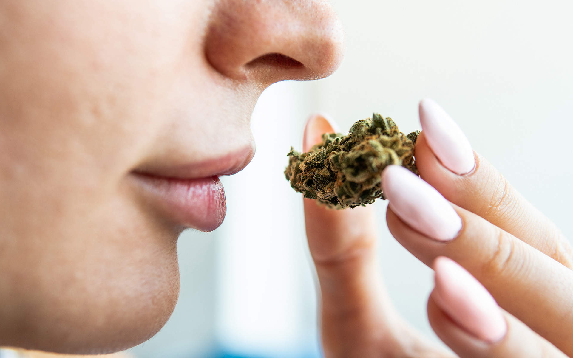 How to get rid of the smell of marijuana inside | Leafly