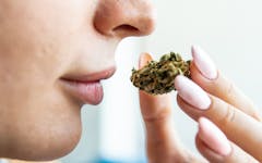 marijuana smell, cannabis odor