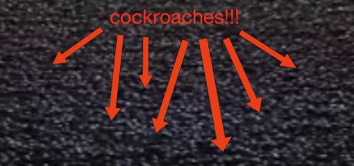 Can you imagine walking barefoot through this? *dry heave*