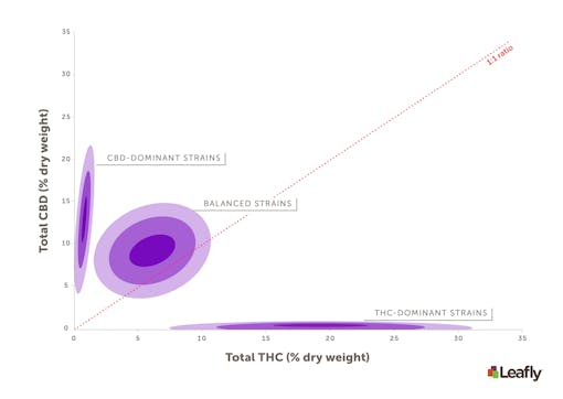 Figure 1: THC and CBD levels generally fall within three broad ranges. Almost every strain will fall into one of these. 30% total THC by dry weight should be considered very potent, and it’s difficult to get plants to produce much more than that. Mixed strains will have both CBD and THC, but at intermediate levels. The very center of each trio of rings is the average THC and CBD content for that strain category. Each shade of purple represents one standard deviation. So, a majority of strains in each category will fall within the innermost, dark purple ring. Note: the high-THC rings have been stretched vertically for visualization purposes. (Photo credit: Amy Phung/Leafly)