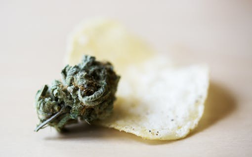 Final Four Round: “It was easier to keep shoving them into my mouth.”