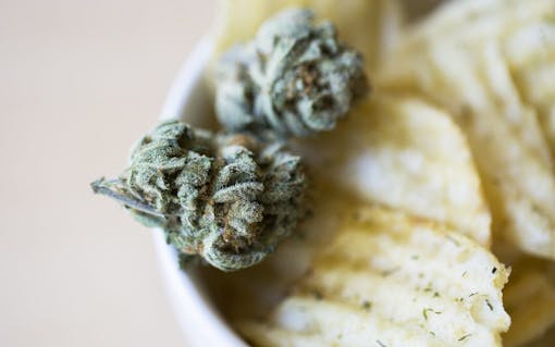 Dill Pickle potato chips and XJ-13 cannabis