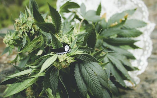 5 Real Marijuana Weddings in Photos