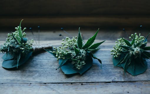 5 Real Marijuana Weddings in Photos