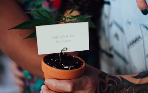 5 Real Marijuana Weddings in Photos