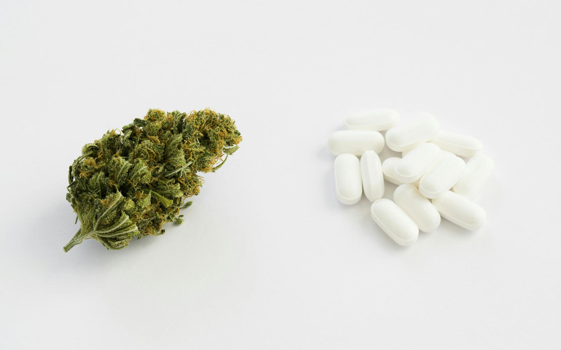 How does cannabis interact with other drugs? Leafly