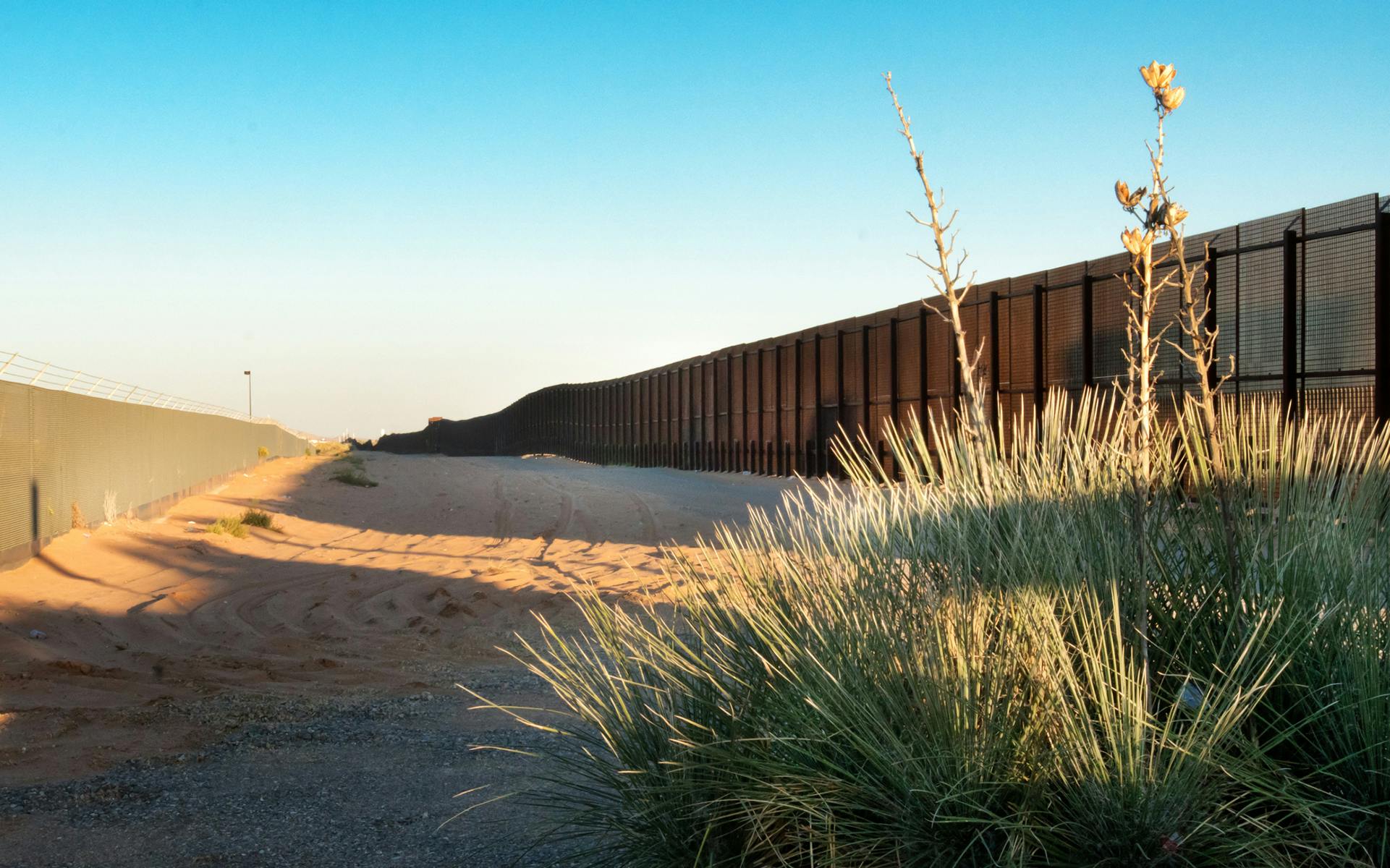 Under Trump, Legal Cannabis Is a Deportable Offense image