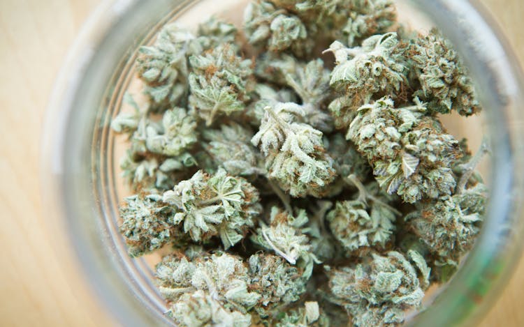 How to Prevent Mold While Storing Cannabis image