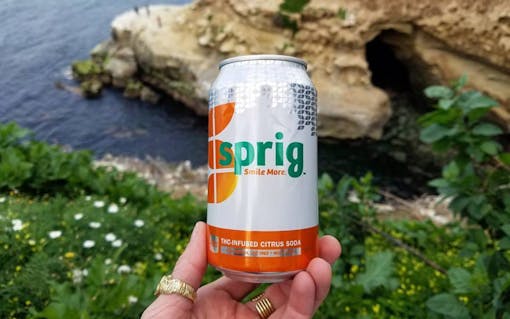 sprig-1