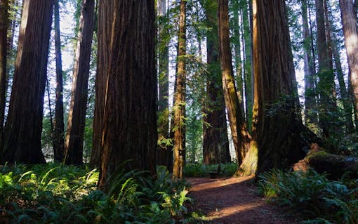 Common Misconceptions About No Till Farming