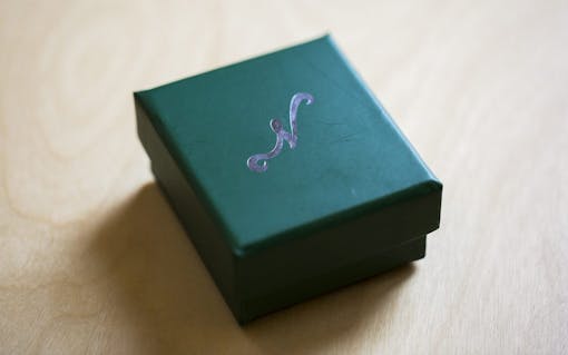 The Nuggy in its box