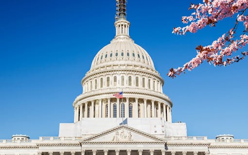 Cannabis Legalization Bills Make Splash in Congress