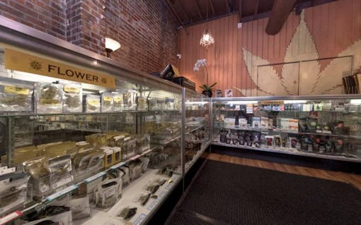 Best Marijuana Dispensaries Owned by Women