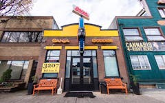 Best Marijuana Dispensaries Owned by Women