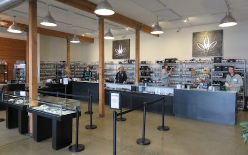 Best Marijuana Dispensaries Owned by Women