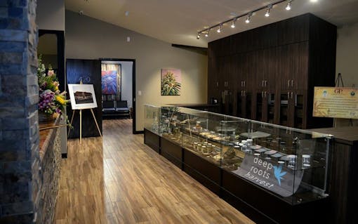 Best Marijuana Dispensaries Owned by Women