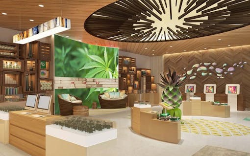 pineapple-express-concept-design