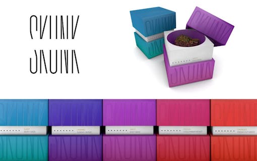 skunk-conceptual-design-web