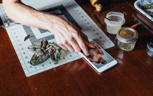 Tony Greenhand: A Day in the Life of the World's Greatest Joint Roller | Leafly