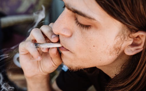 “I can’t wait to do Robin Williams walking out of a grocery store. I can’t wait to do my grandma fist-fighting a tiger … and I’ll DO them, because that’s the only point of dreaming.”