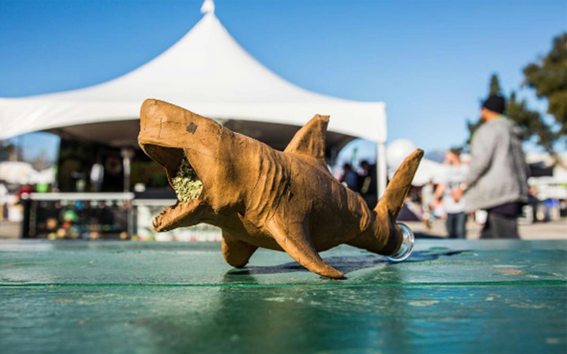 Creative Joint Artists Showcase Their Best Work image