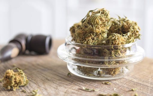 Does "The World's First Cannabis Antidote" Actually Work? | Leafly