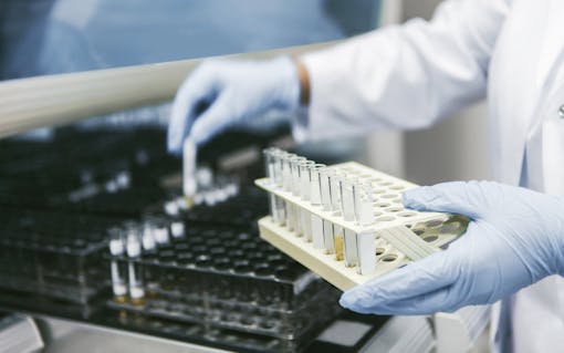 Because customers see THC as such an all-important measure of cannabis quality, retailers are hungry for products that are extraordinarily high in THC.