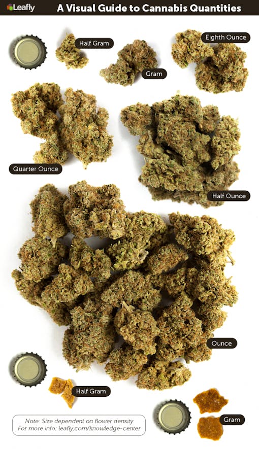 EU62VjFTWapZnZuj1HOl_A Visual Guide to Cannabis Quantities