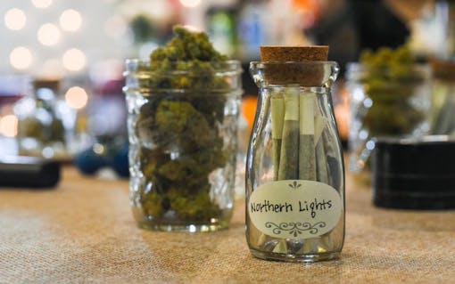 cannabis-enthusiast-wedding-4