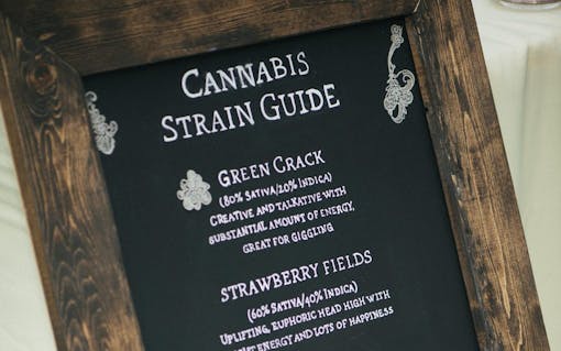 cannabis-enthusiast-wedding-1