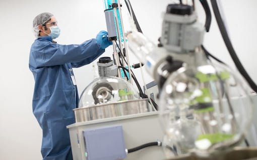 How Canadian Licensed Producers Are Driving Global Medical Marijuana Research | Leafly