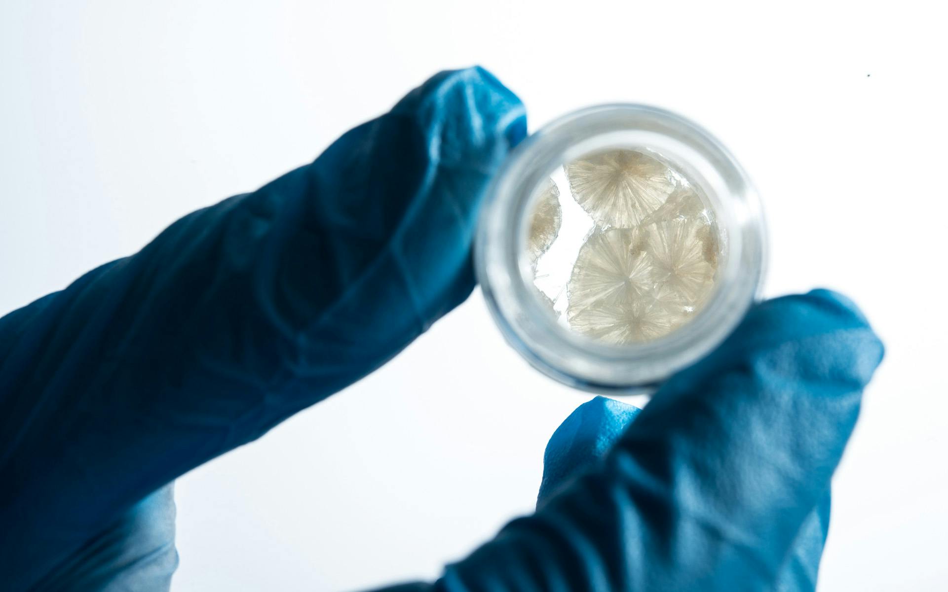 How Canadian LPs Are Driving MMJ Research image