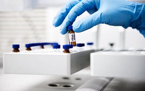 How Canadian Licensed Producers Are Driving Global Medical Marijuana Research | Leafly