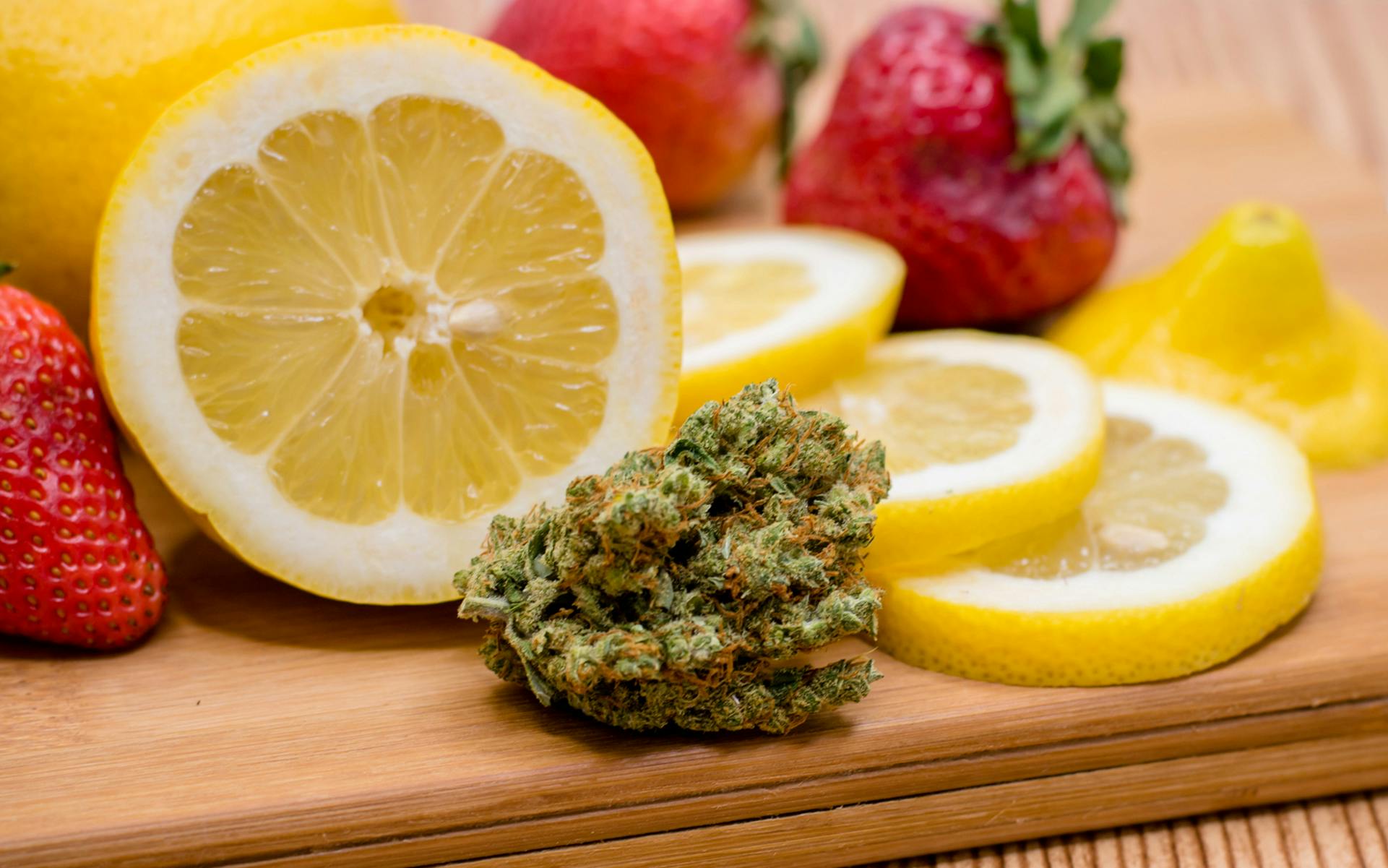 The Future of Cannabis May Lie in Terpene Isolation image