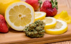 The Future of Cannabis May Lie in Terpene Isolation