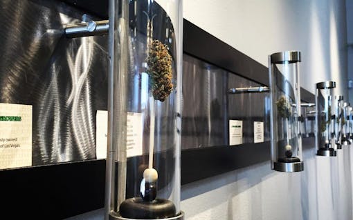 (Courtesy Oasis Medical)