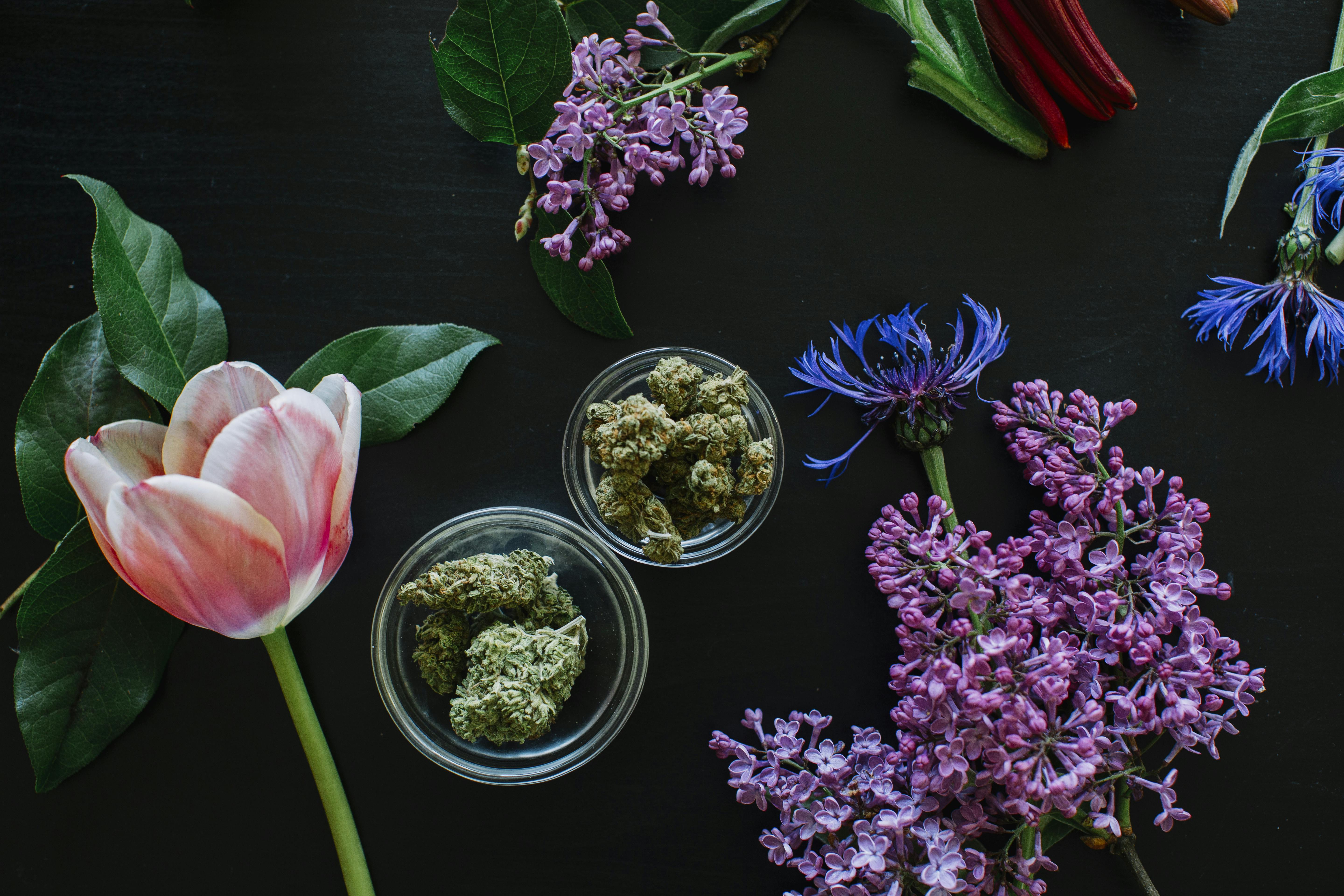 Cannabis Flower Crowns: The Perfect DIY Smokeable Accessory image