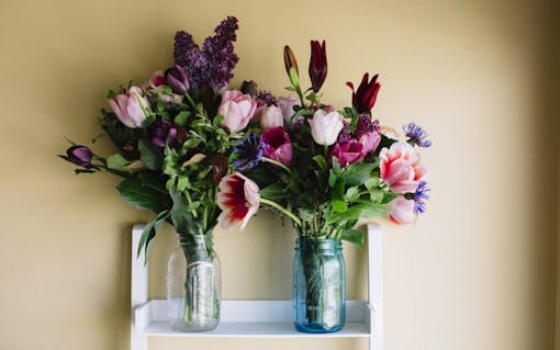 (Julia Sumpter/Leafly)